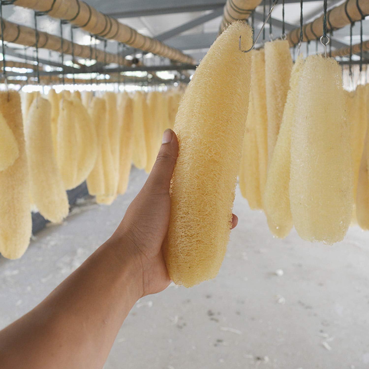 3 Stück Natürlicher Peeling-Sc – Dish Brush Bamboo Bewertung und Preis